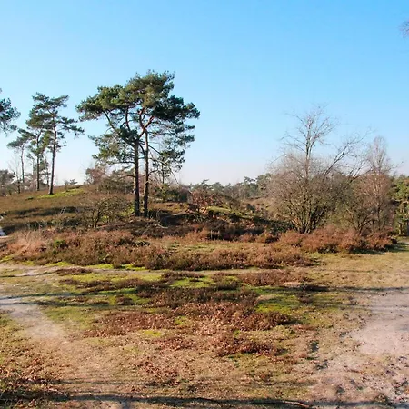 Lovely In With Wifi *