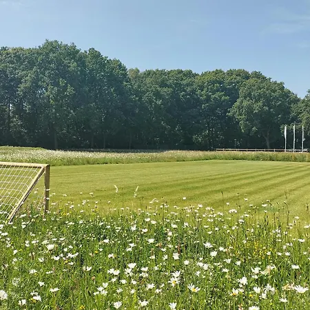 Lovely In With Wifi * Afferden (Limburg)