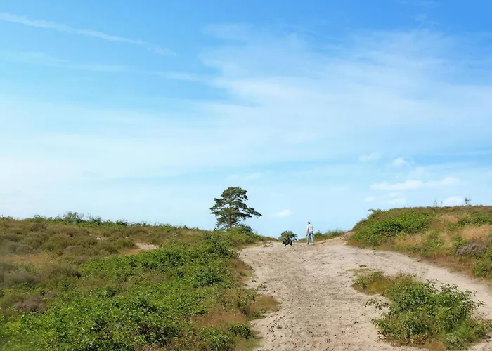 Holiday home Lovely In With Wifi