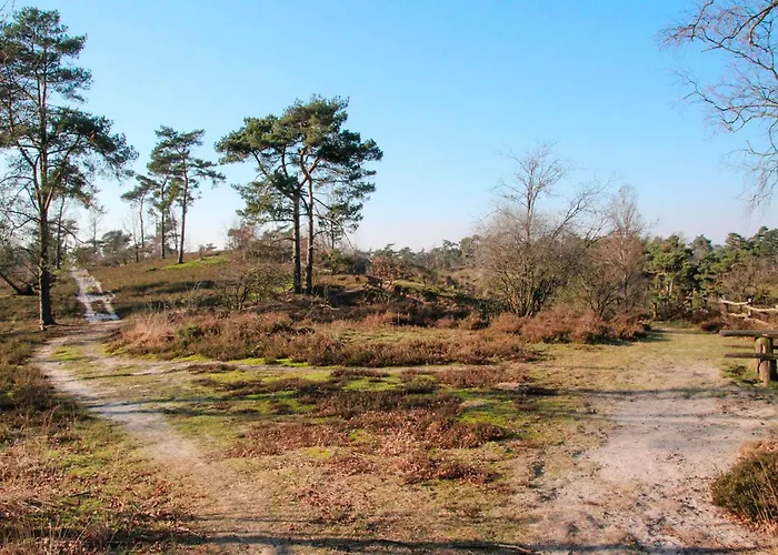 Lovely In With Wifi *